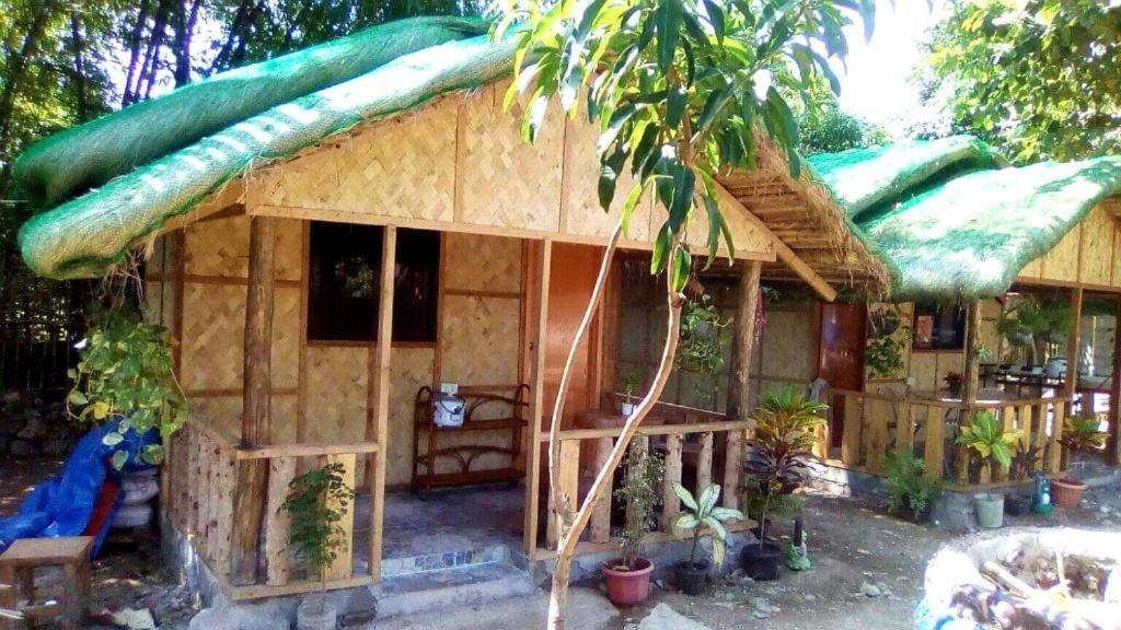 Traditional Filipino Transient House And Huts Near 100 Islands Wharf Alaminos Exterior photo